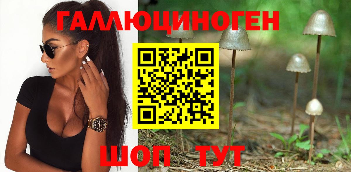Галлюциногенные грибы Magic Shrooms Углич